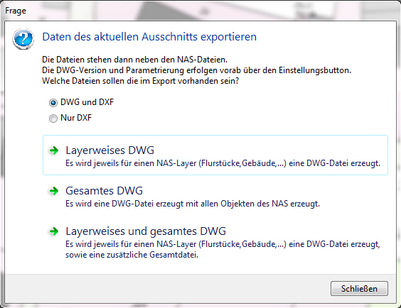Dialog zum DXF Export im Ausschnitt