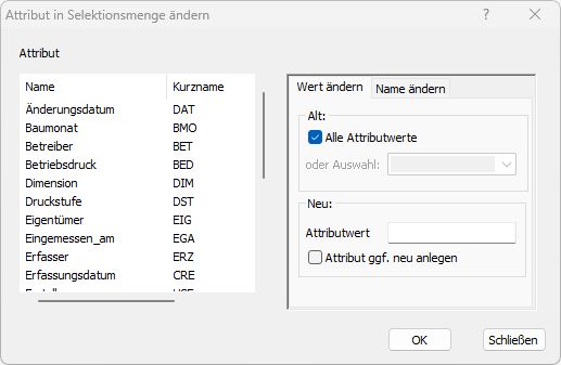 Attribut in Selektionsmenge ändern